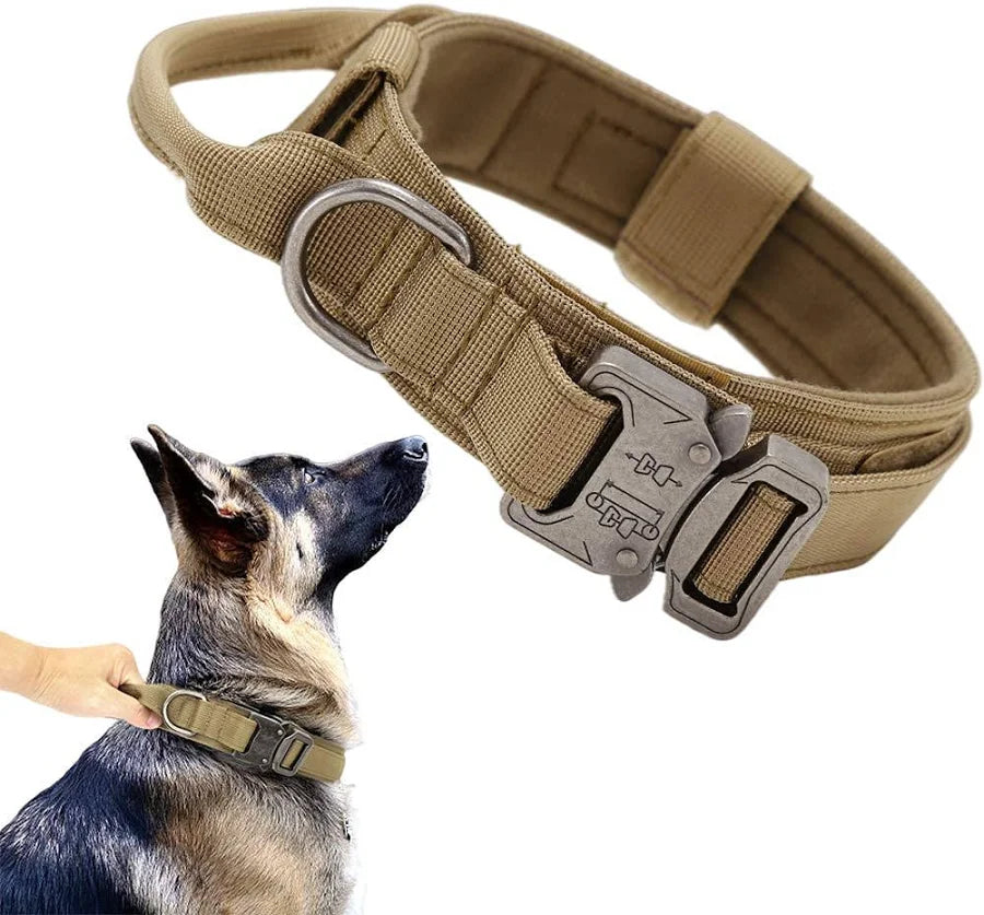 Qpets Adjustable Dog Collar