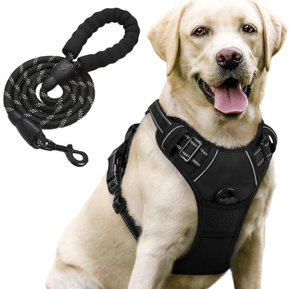 Lyrovo Adjustable No-Pull Dog Harness with Leash Set