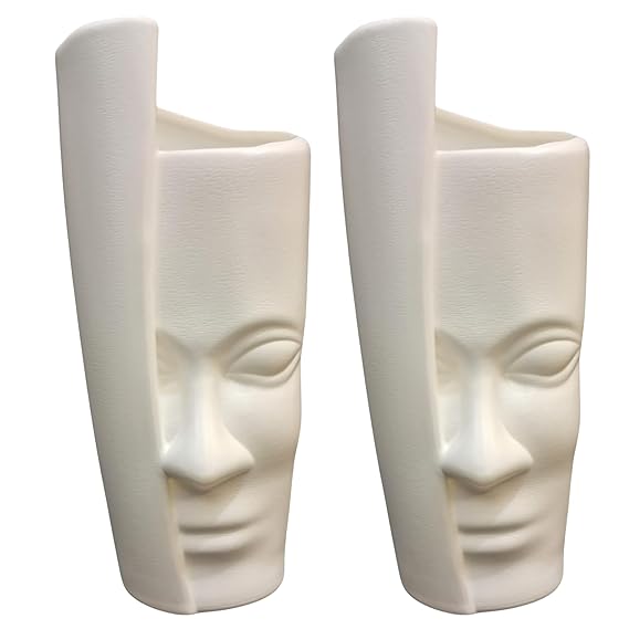Aesthetic Face Vase