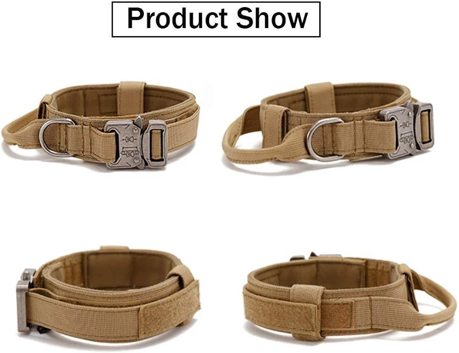 Qpets Adjustable Dog Collar