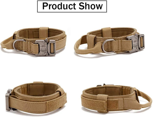 Qpets Adjustable Dog Collar