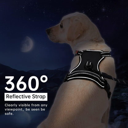 Lyrovo Adjustable No-Pull Dog Harness with Leash Set