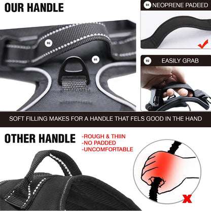 Lyrovo Adjustable No-Pull Dog Harness with Leash Set
