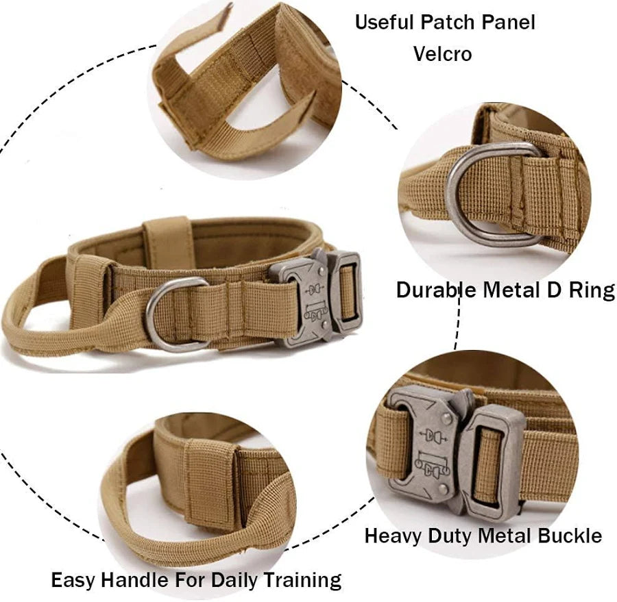 Qpets Adjustable Dog Collar