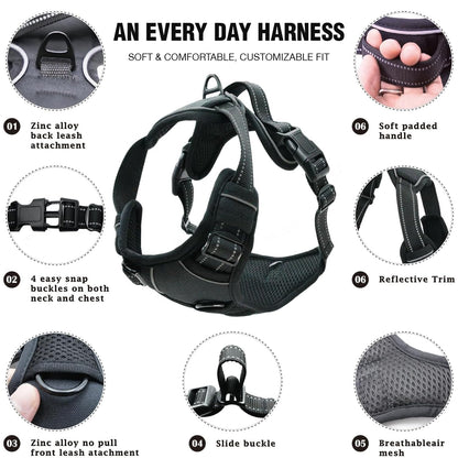 Lyrovo Adjustable No-Pull Dog Harness with Leash Set