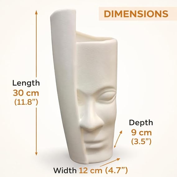 Aesthetic Face Vase