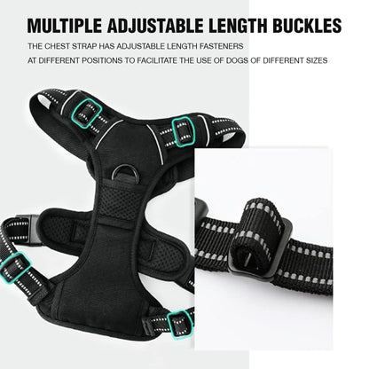 Lyrovo Adjustable No-Pull Dog Harness with Leash Set