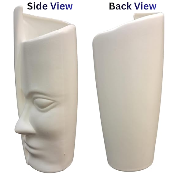 Aesthetic Face Vase
