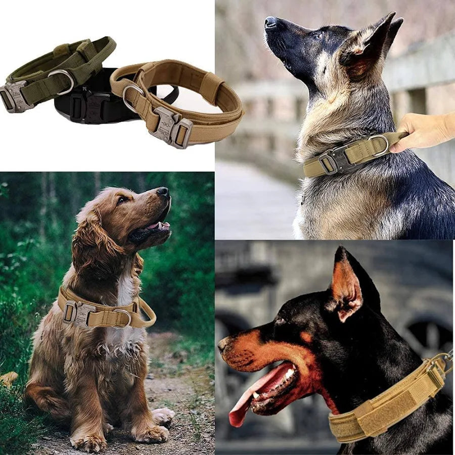 Qpets Adjustable Dog Collar